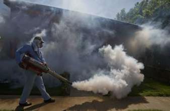 Chikungunya : 11 000 cas et 4 morts en Polynésie française