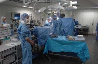 Opération de l'appendicite : quels sont les véritables risques ?