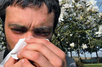 Pollens : la carte de France des allergies 