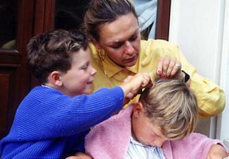 Poux : les produits vétérinaires contre-indiqués chez l'enfant