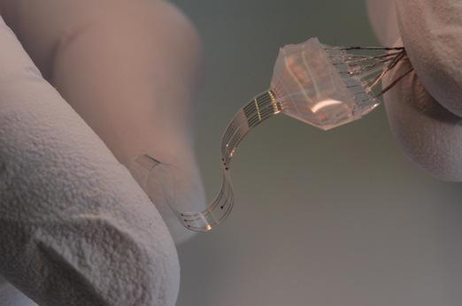 Un implant neuronal a vaincu la paralysie chez des rats