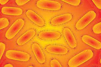 Une super-bactérie contamine 200 personnes dans un hôpital américain