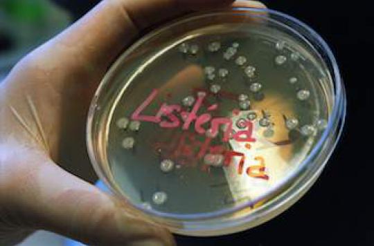Listeria : des fromages contaminés retirés dans la Loire 