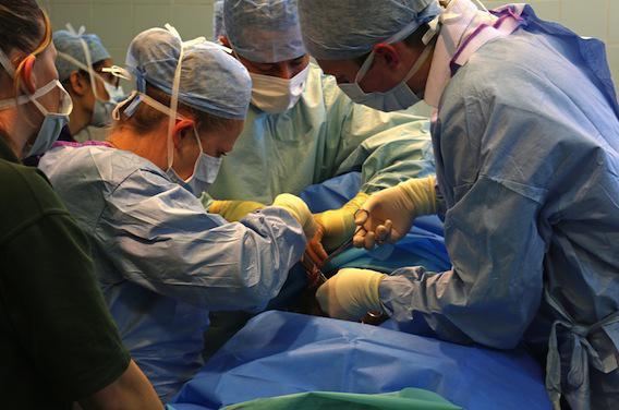 Décès de Corentin : l'Ordre des médecins suspend les 2 chirurgiens