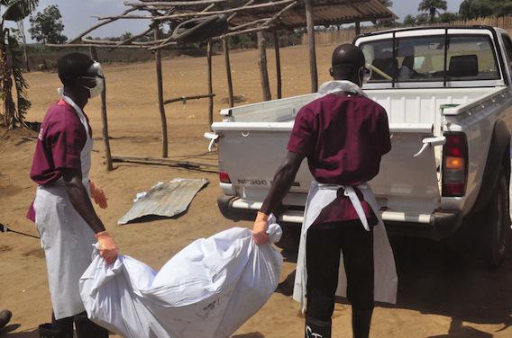 Ebola : un nouveau cas mortel identifié en Sierra Leone 