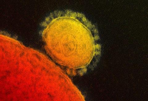 Coronavirus : déjà deux morts en Corée du Sud