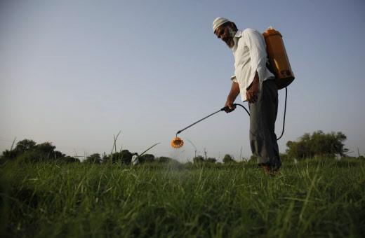 Pesticides : Greenpeace lance une nouvelle alerte