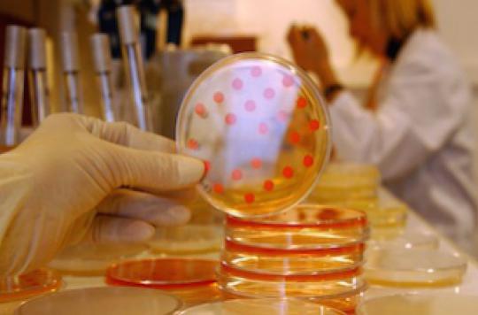 date definition sante oms