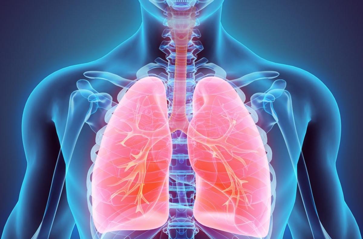 Fibrose pulmonaire : une maladie qui altère le fonctionnement du ...