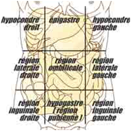 Fréquence médicale