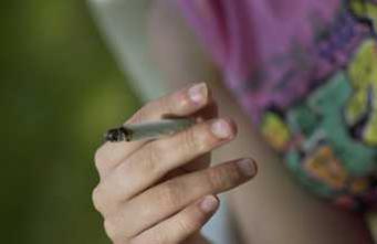 Cannabis : une consommation régulière réduit les chances de finir sa scolarité