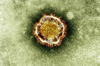 Coronavirus : un patient sur deux décède