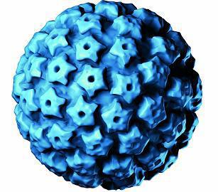 Cancer du col de l’utérus : le test HPV plus efficace que le frottis