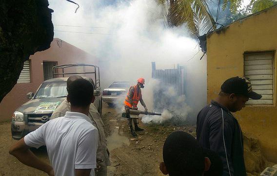 Dengue : 184 cas recensés à la Réunion