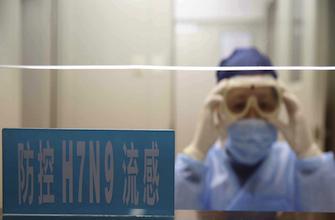 H7N9 : 4 nouveaux décès en Chine