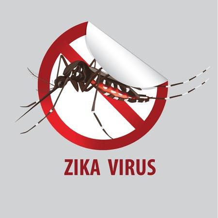 Zika : la ministre des Outre-mer appelle à la mobilisation 