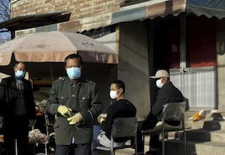 Grippe aviaire : le virus H7N9 est l\'un des plus dangereux