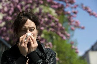 Un filtre nasal pour réduire les allergies
