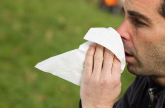 Allergie : premier pic des pollens d’ambroisie le 15 août
