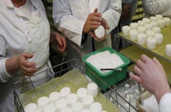 Des fromages de Chavignol contaminés par la bactérie E. coli
