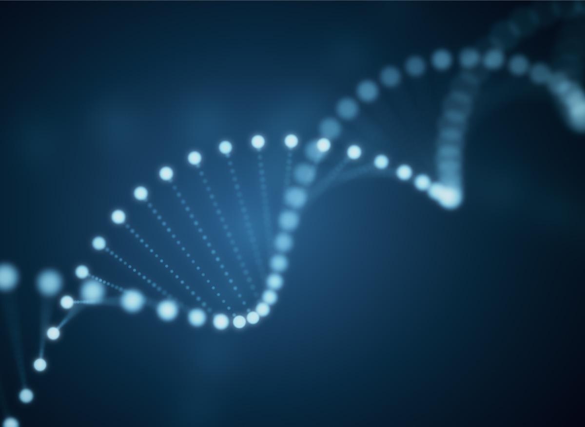 Mutations génétiques : certains enfants en ont deux fois plus que les autres 