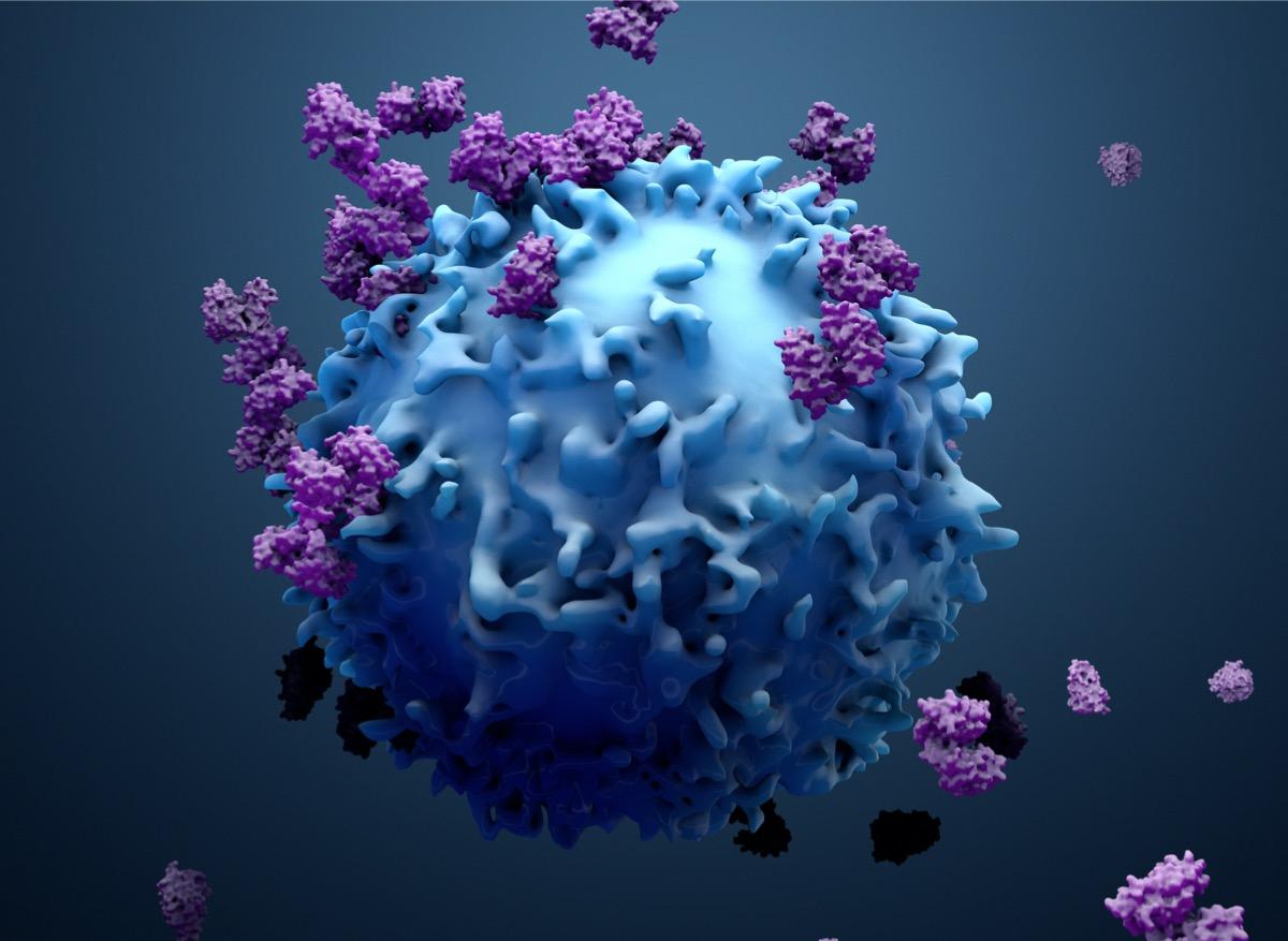Cancer du poumon : comment le glucose empêche les cellules immunitaires de jouer leur rôle 
