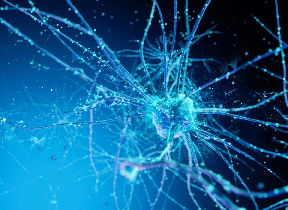 Comment un réseau de neurones favorise-t-il nos relations sociales ?  