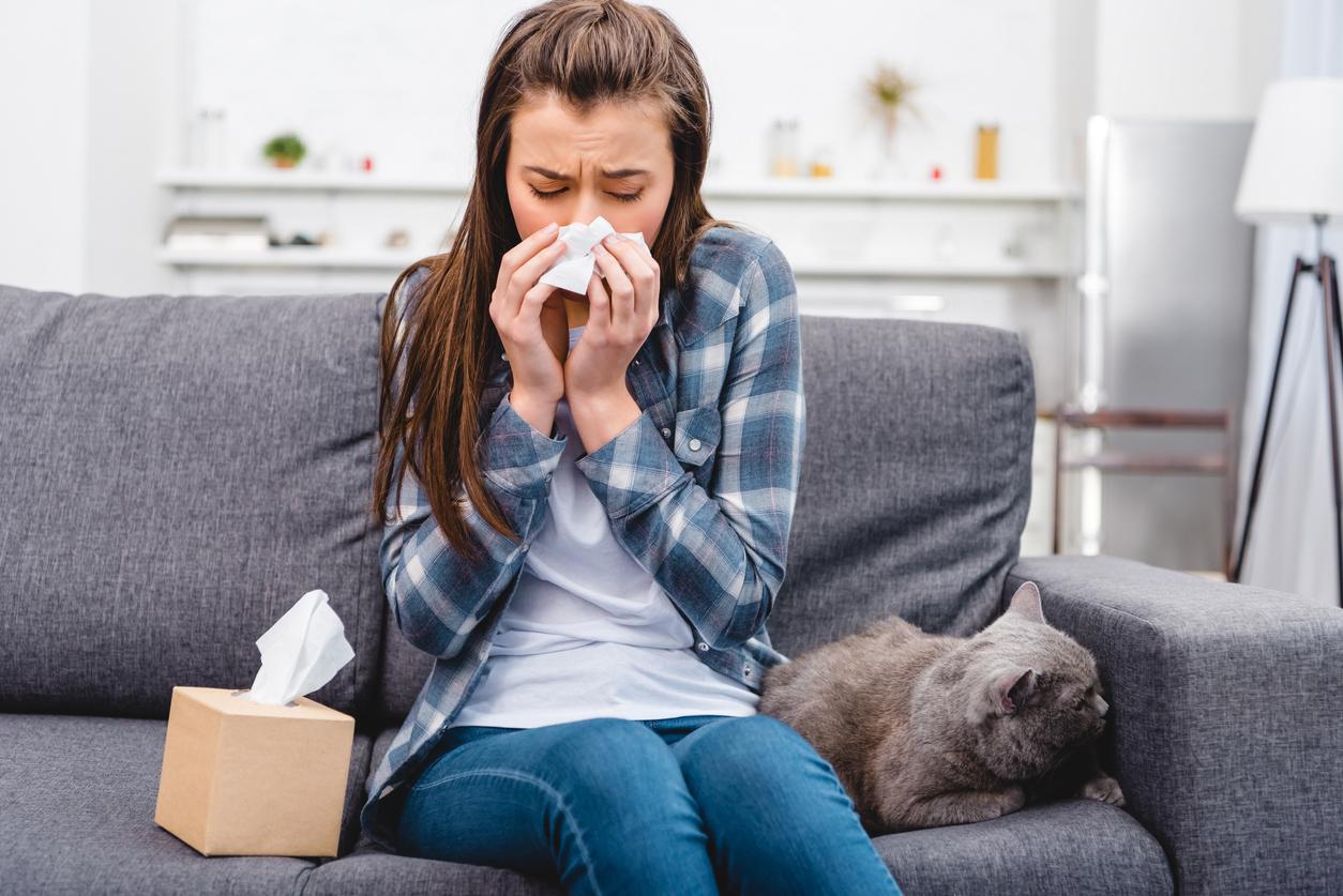 A la recherche des cellules responsables des allergies