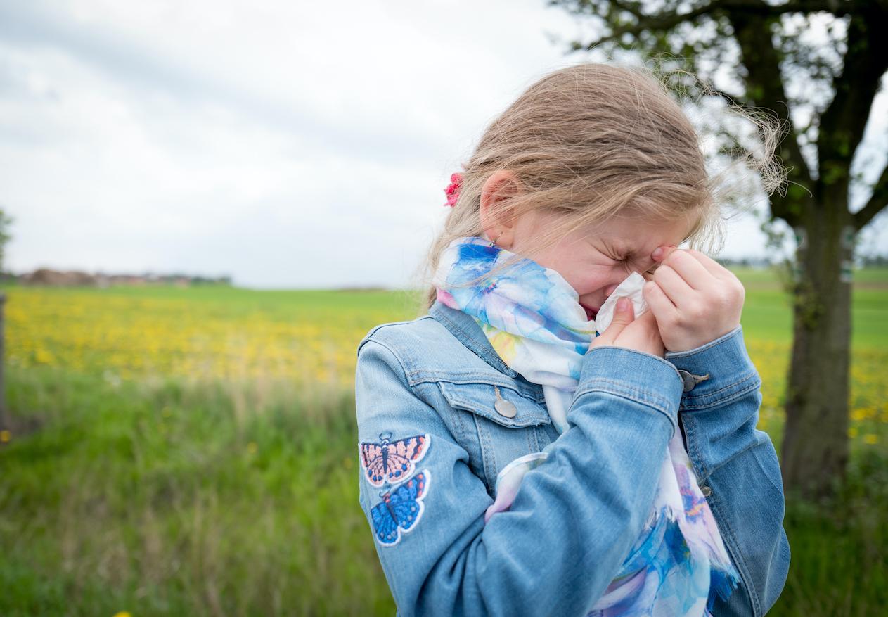 Allergies : les pollens déjà de retour dans l'Est