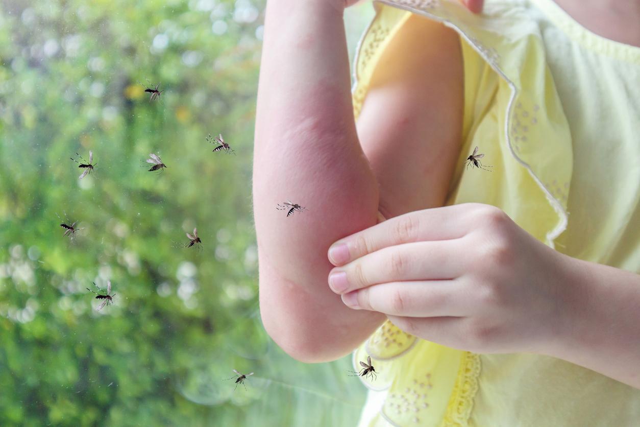 Pourquoi certains attirent-ils davantage les moustiques ?