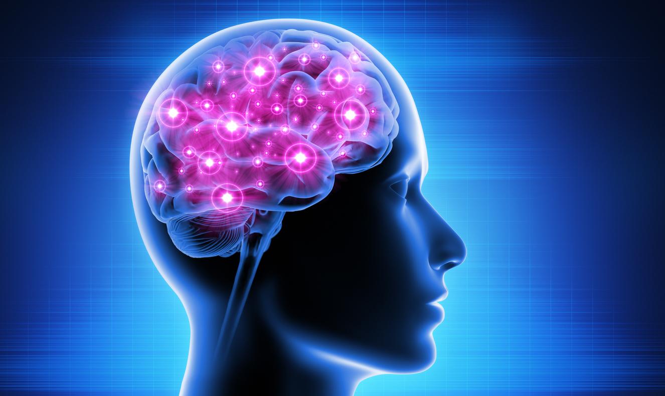 Alzheimer, Parkinson, AVC : on pourrait régénérer les neurones perdus !