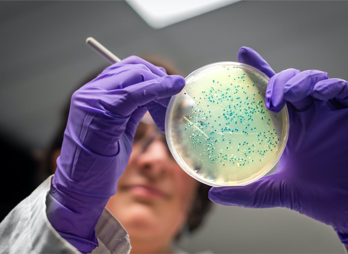Un nouveau matériau pour protéger les plaies des bactéries résistantes 