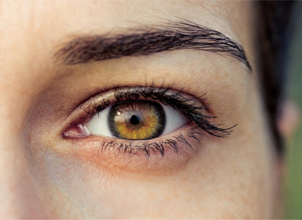  Comment détecter l’athérosclérose grâce à un examen de l’œil ?