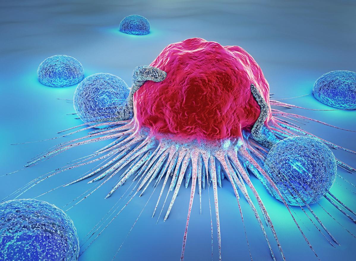 Un nouveau système d’identification des cellules cancéreuses cachées