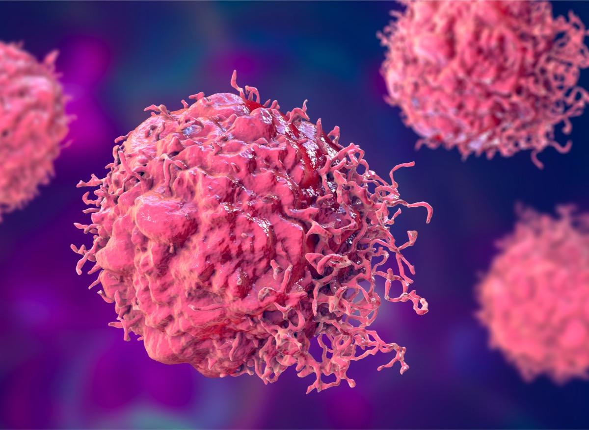 Espoir dans le cancer : un anticorps capable de freiner la croissance des tumeurs identifié