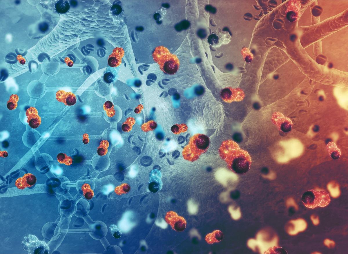 Les cellules CAR-T pourraient soigner les cancers du sang 
