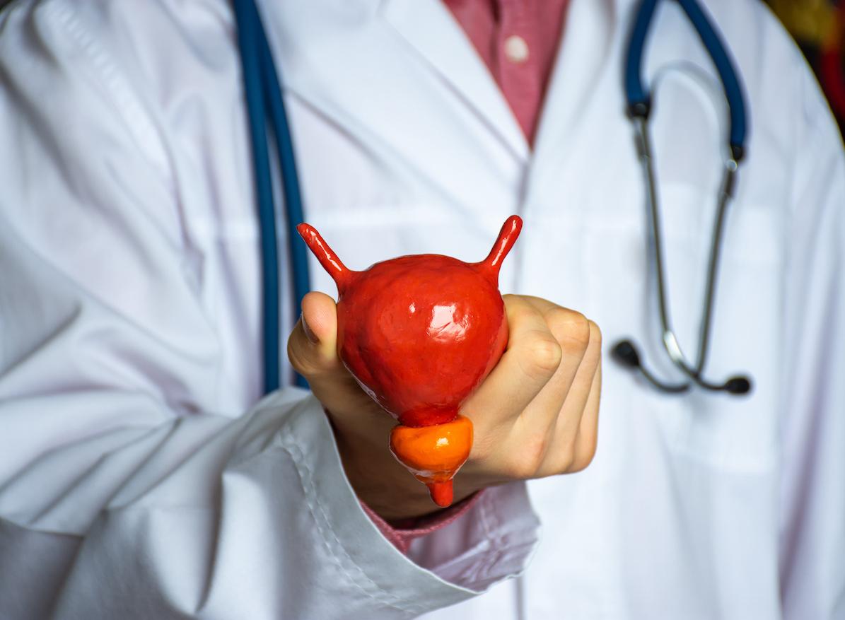 Cancer de la prostate: la perturbation du cycle circadien accroît sa progression