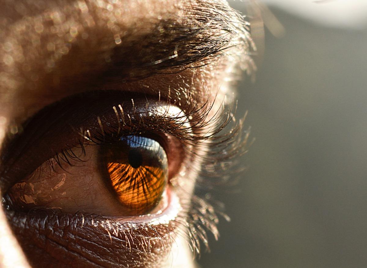 Une cornée artificielle permet à des personnes aveugles de retrouver la vue