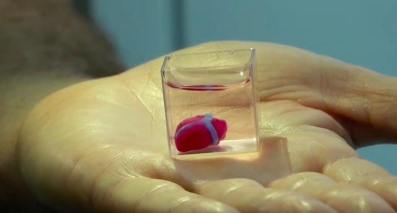 Un coeur imprimé en 3D à partir de tissus humains