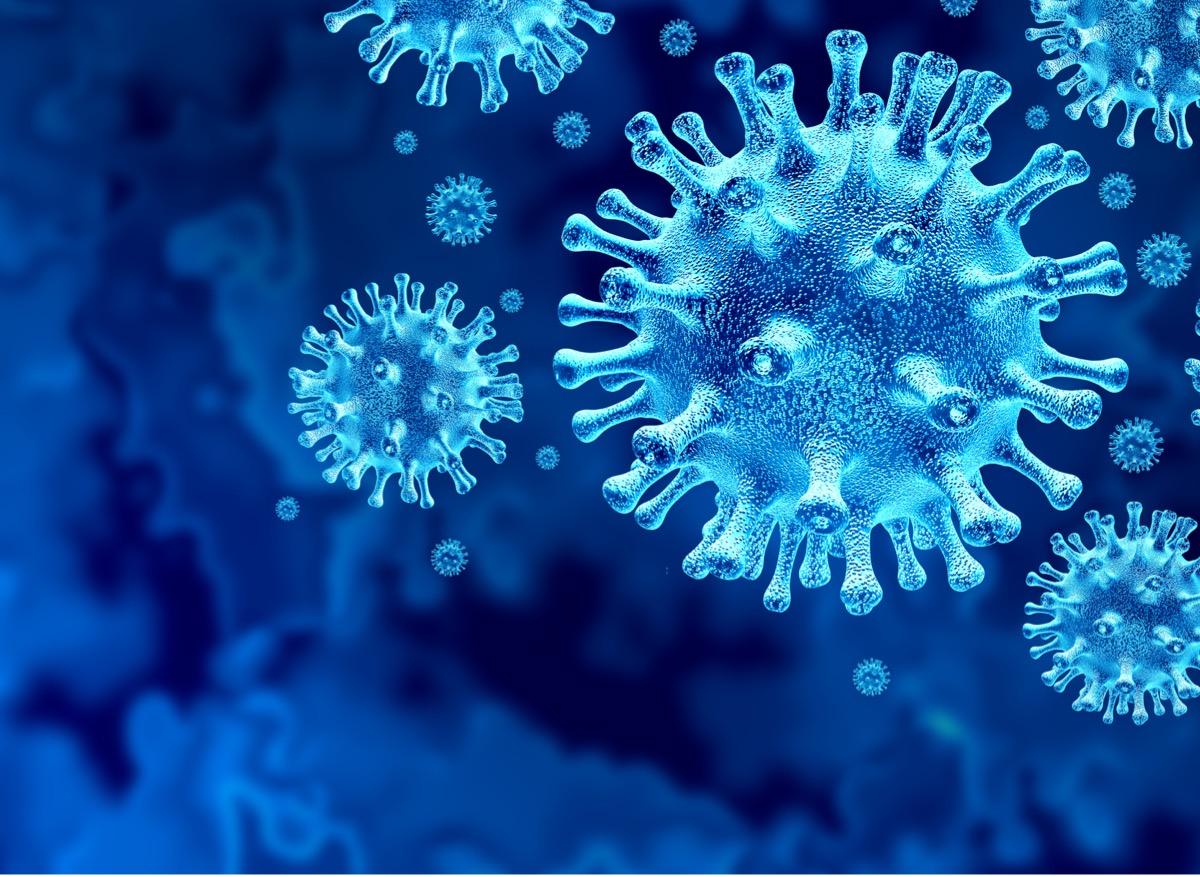 Covid-19 : des chercheurs identifient les cellules ciblées par le virus 