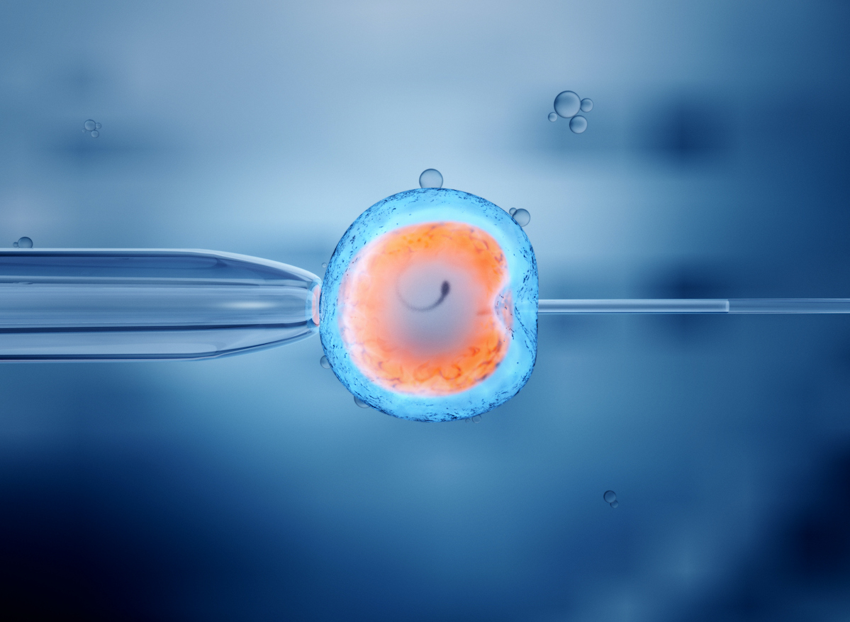 Comment les cliniques de fertilité améliorent les chances des femmes d'avoir un enfant 