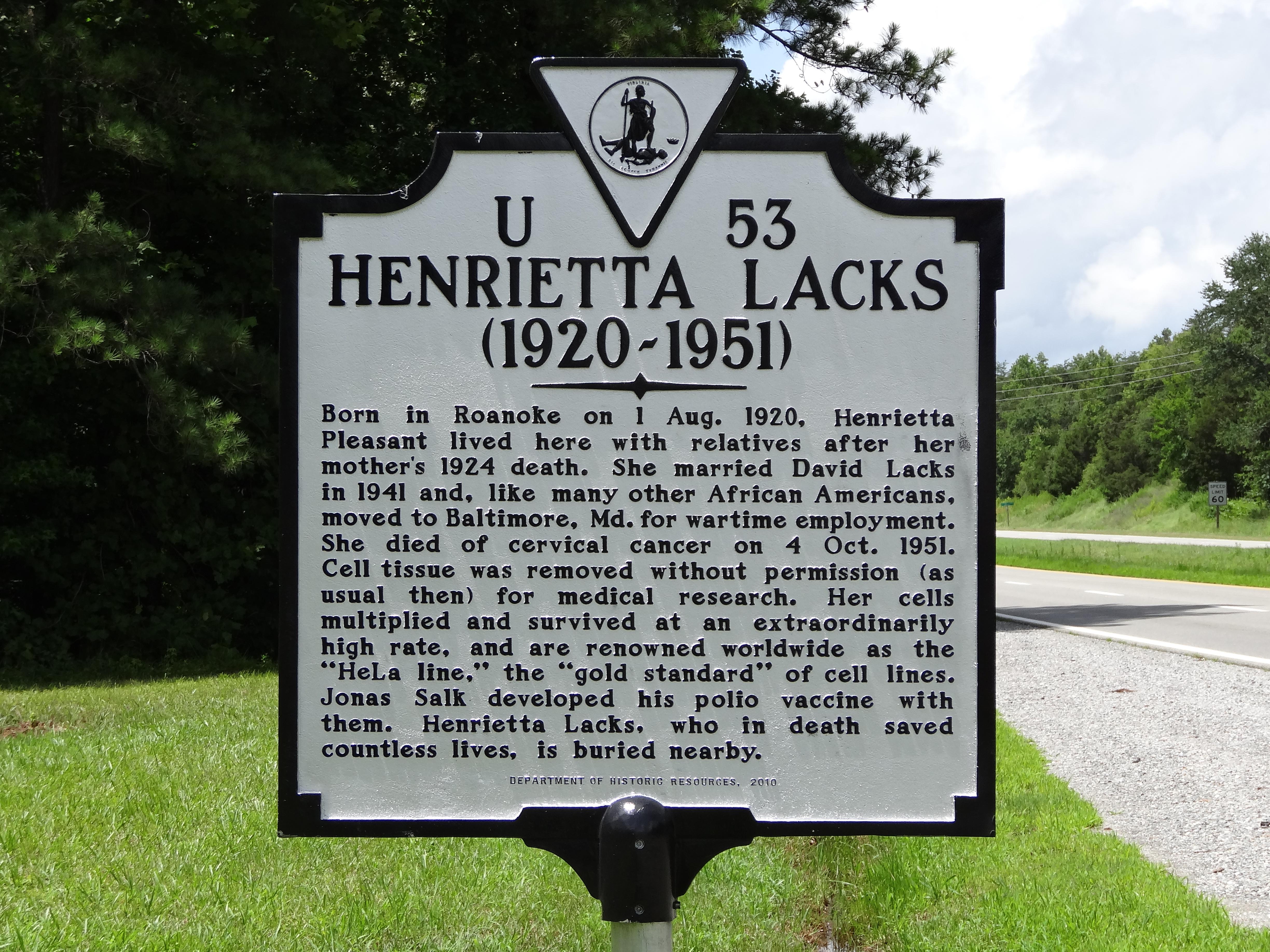 Voici l'étrange histoire d'Henrietta Lacks et de ses cellules immortelles