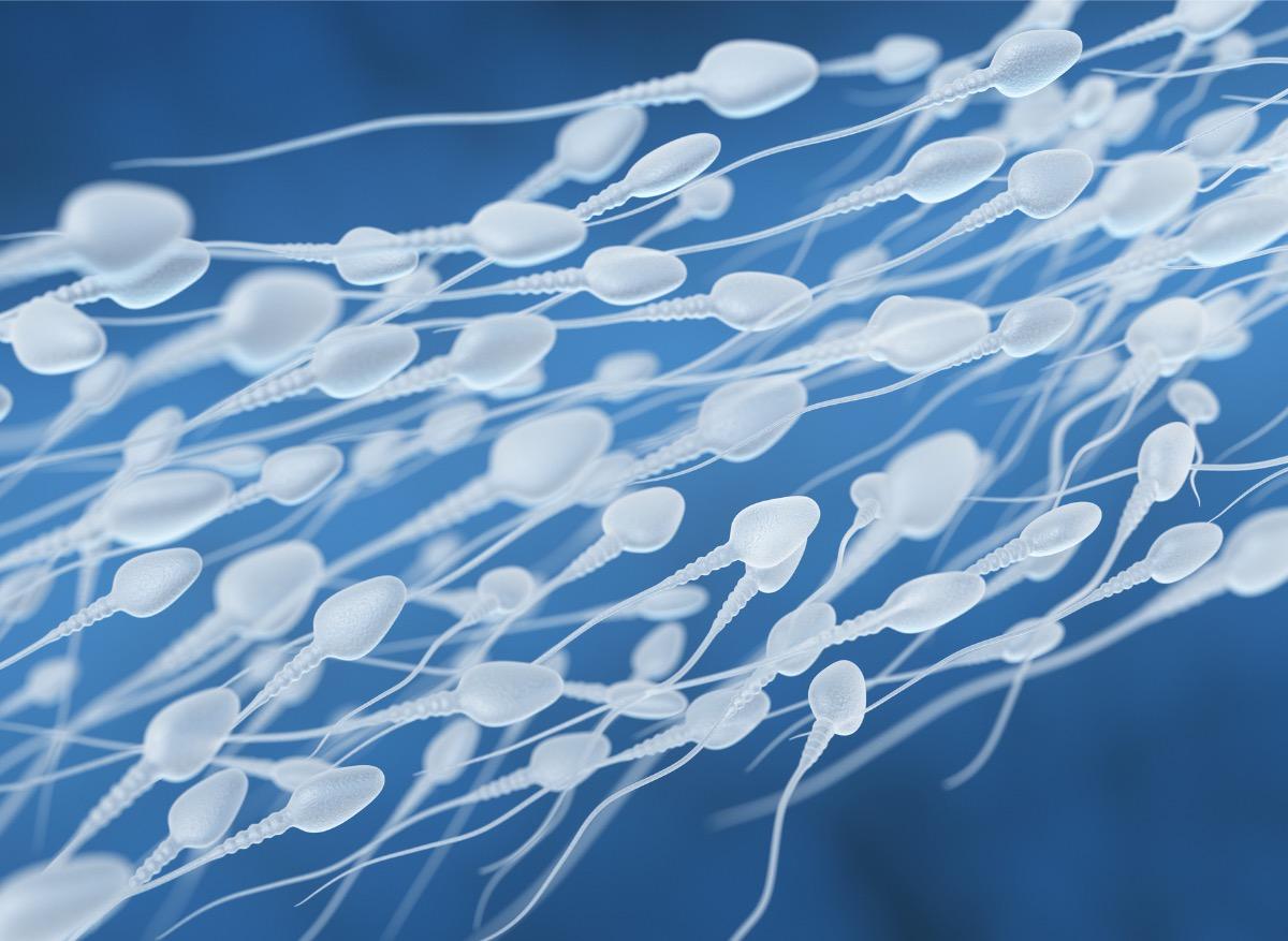L'ex-directeur d'une banque de sperme remplaçait les échantillons et a eu 49 enfants biologiques