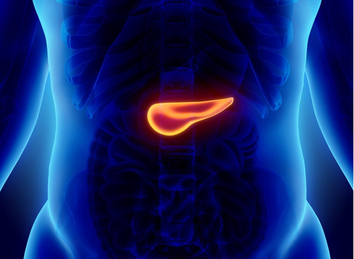 Cancer du pancréas : analyser les selles pour dépister précocement la maladie  