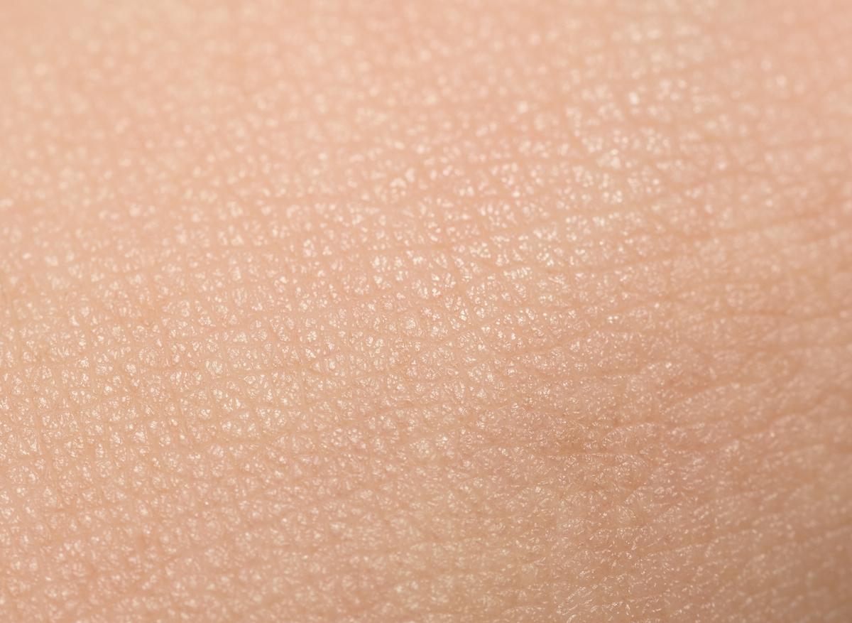 Votre peau : comment ses cellules immunitaires manoeuvrent pour vous protéger des infections