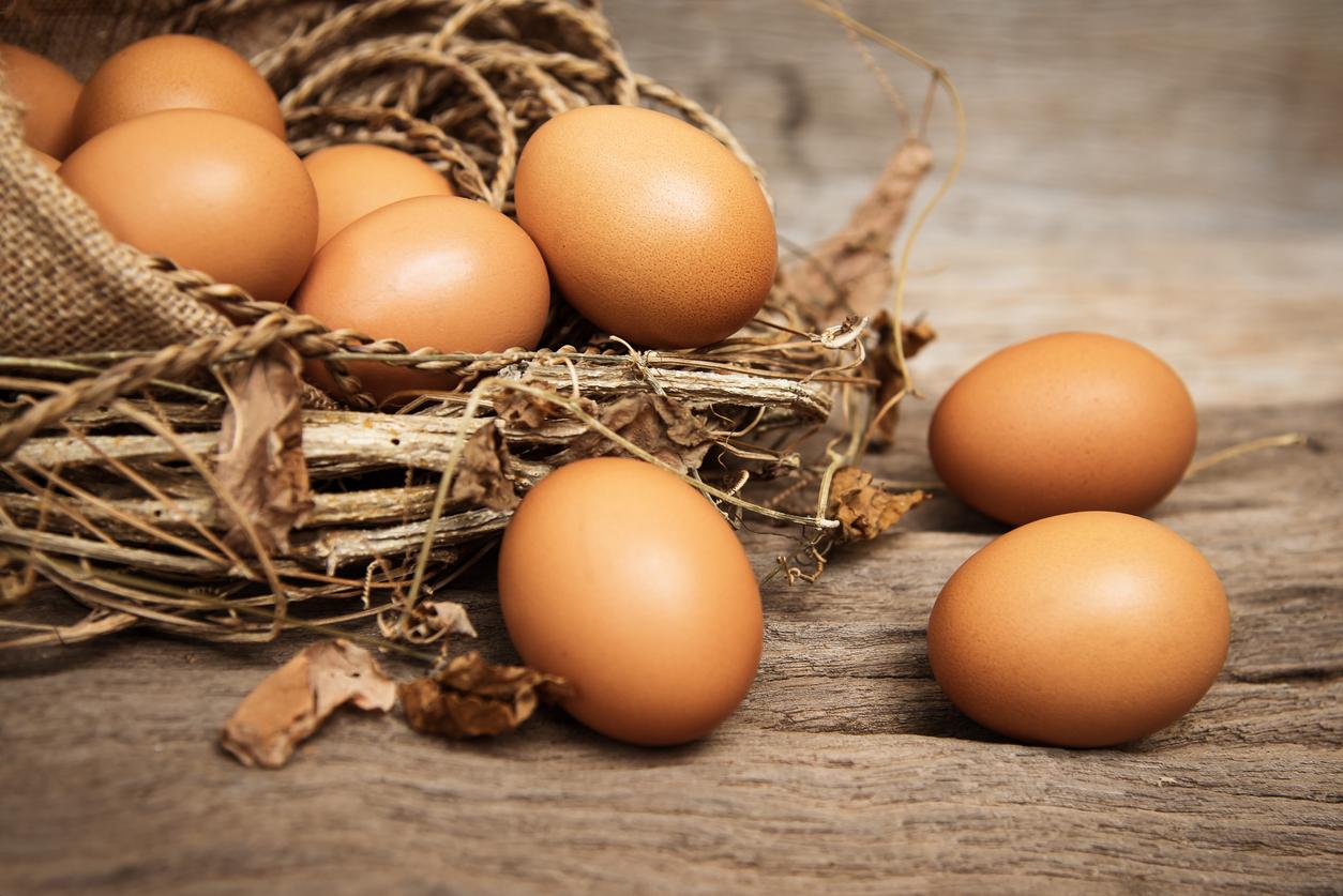 Cholestérol : la plupart des études sur les œufs seraient erronées 