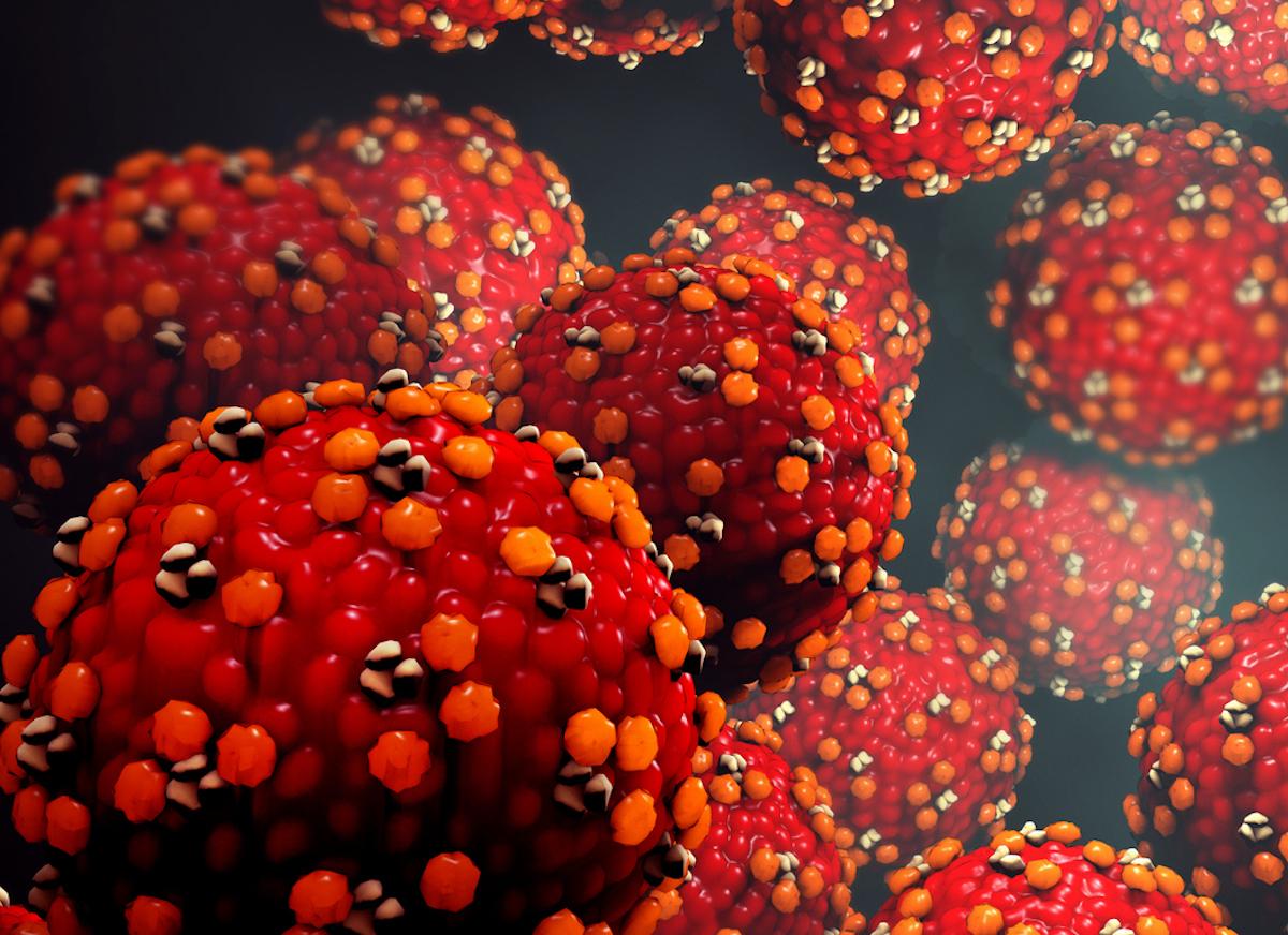 Coronavirus : virus, microbes, bactéries... quelles différences ? 
