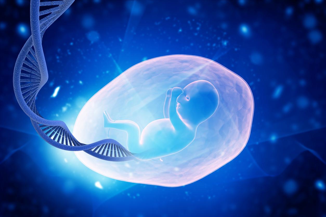 Tumeur, mutations semblables à celles du cancer : les surprises de l’architecture génomique du placenta
