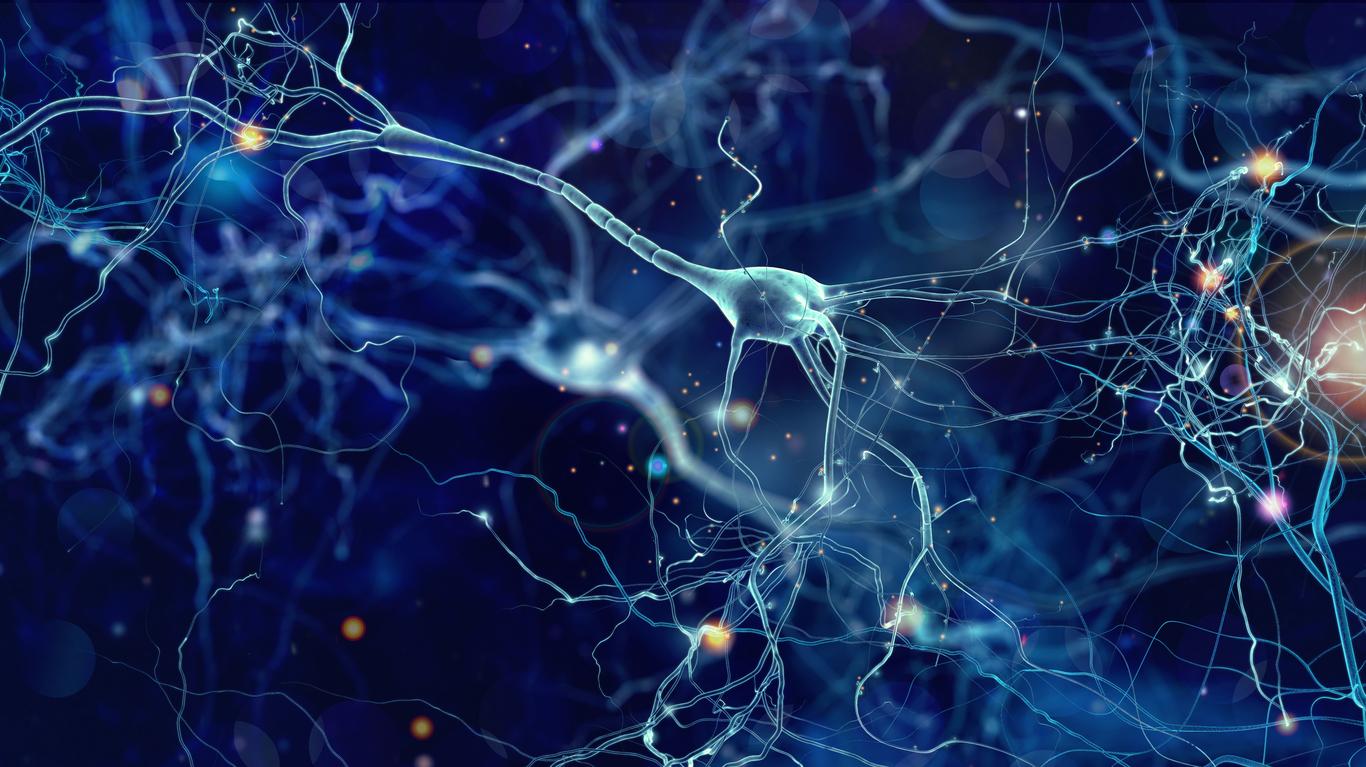 Maladie de Parkinson : la mort des neurones producteurs de dopamine en cause ?