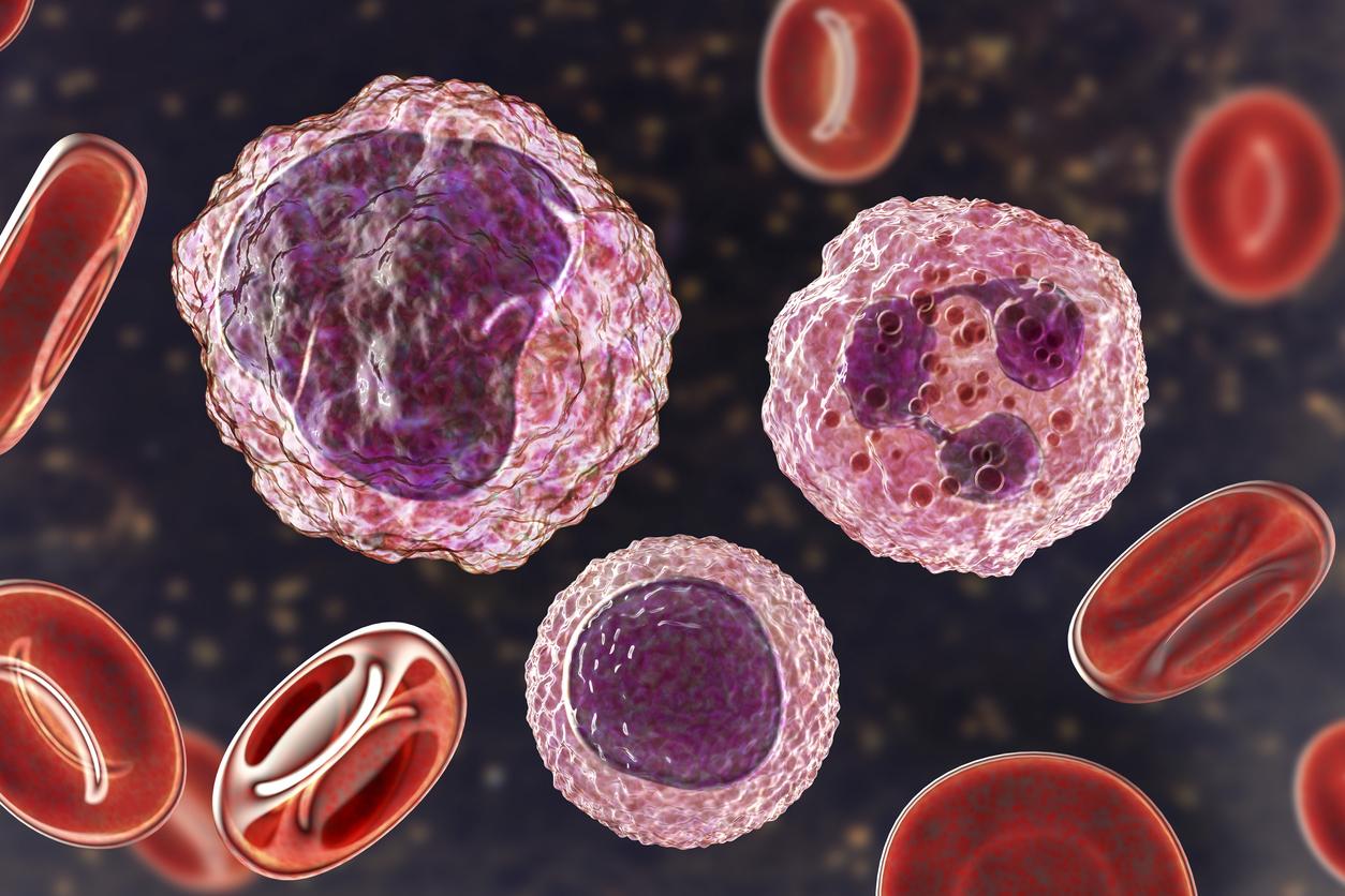 Coronavirus : les défenses immunitaires des patients diminuent fortement